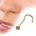 Piercing C121 Para Nariz Oro De 10k